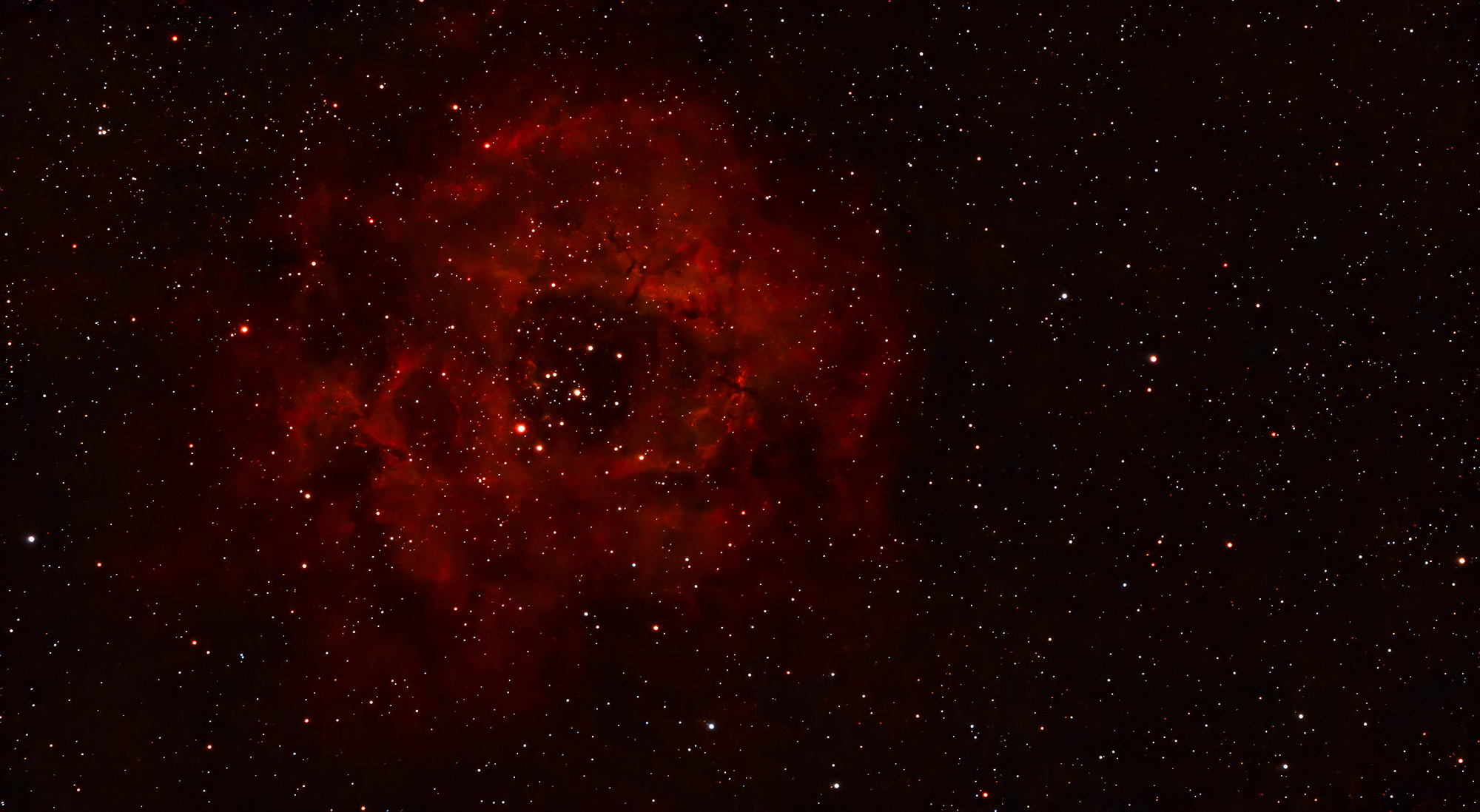 -Der Rosettennebel (NGC 2237)-