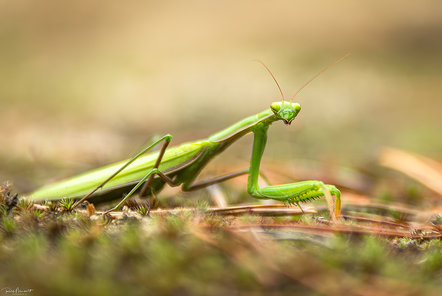 Sie hatte mich voll im Blick