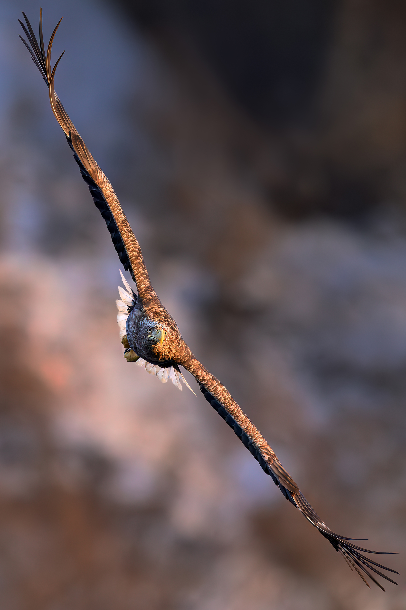 Ausgedehnte Flugeinheit