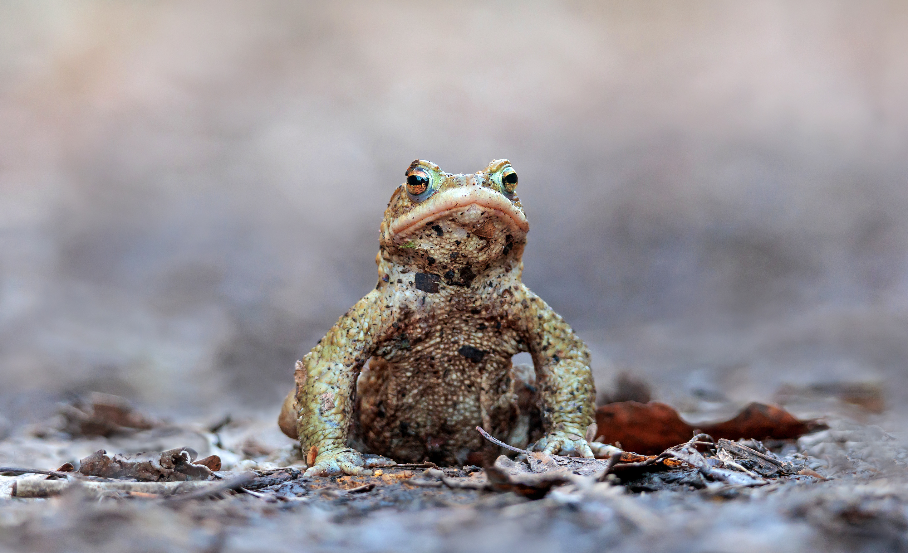 Kleiner Schmutzfink....