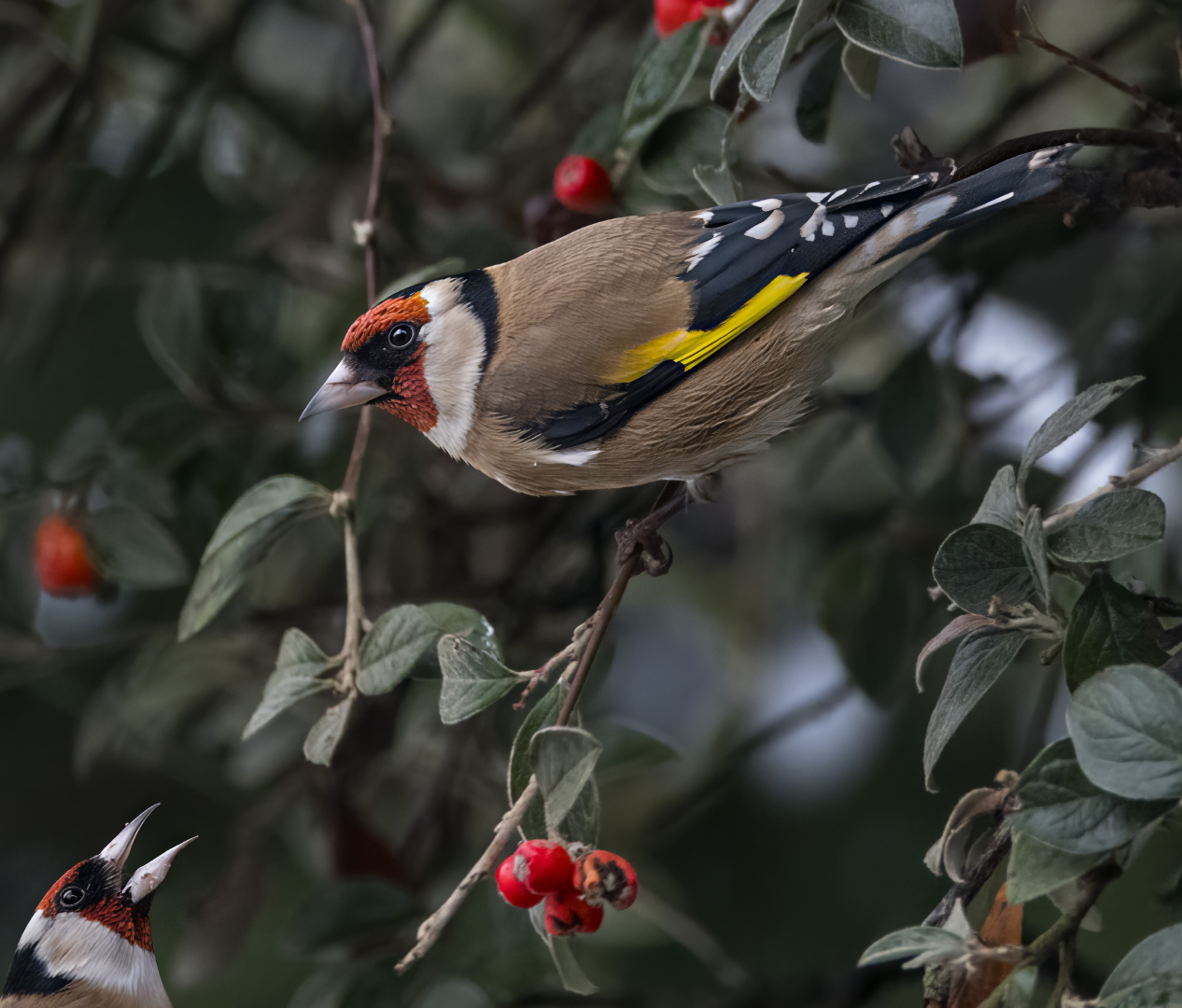 Bunte Farbtupfer