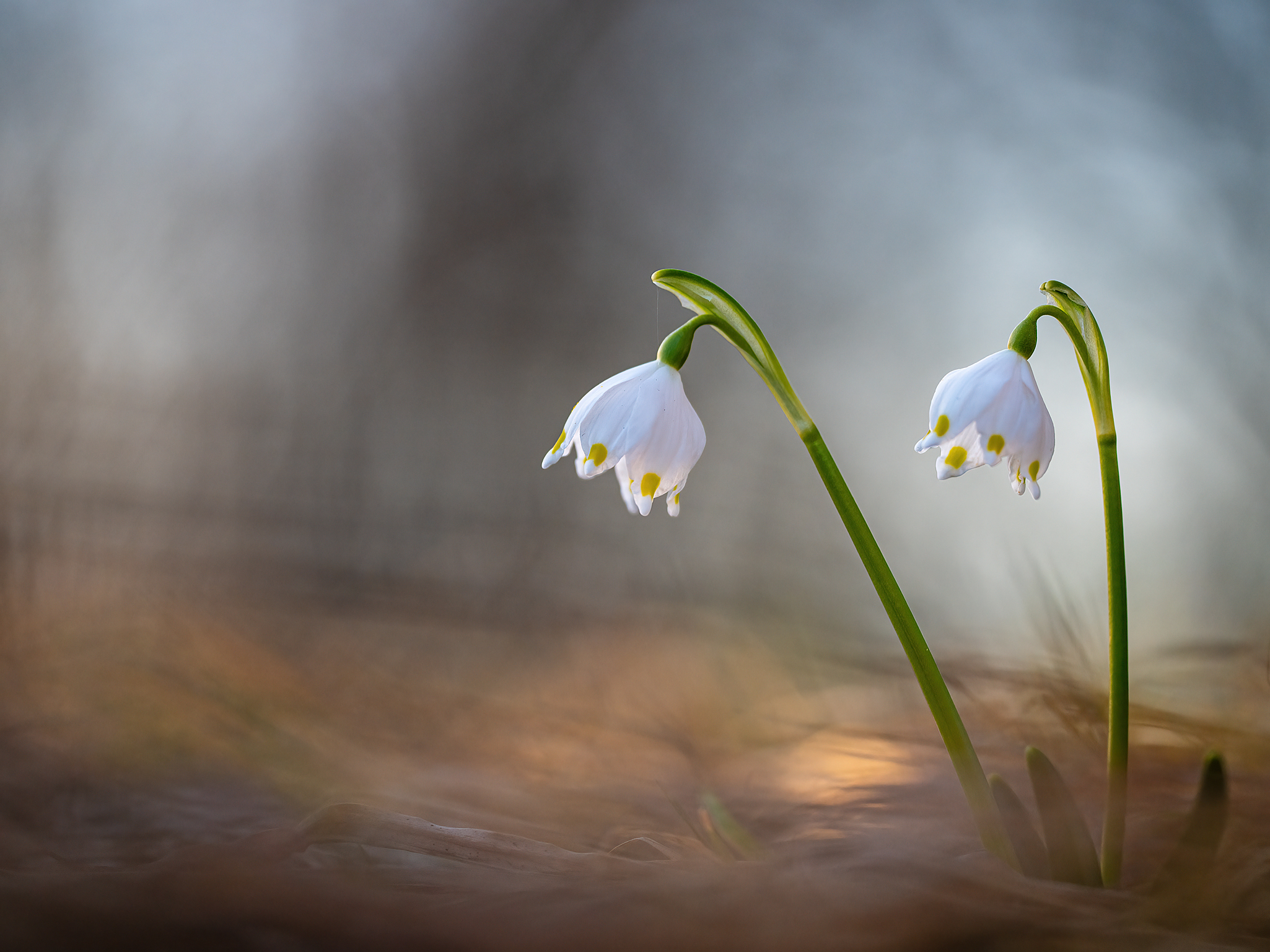 ... die schönste Jahreszeit