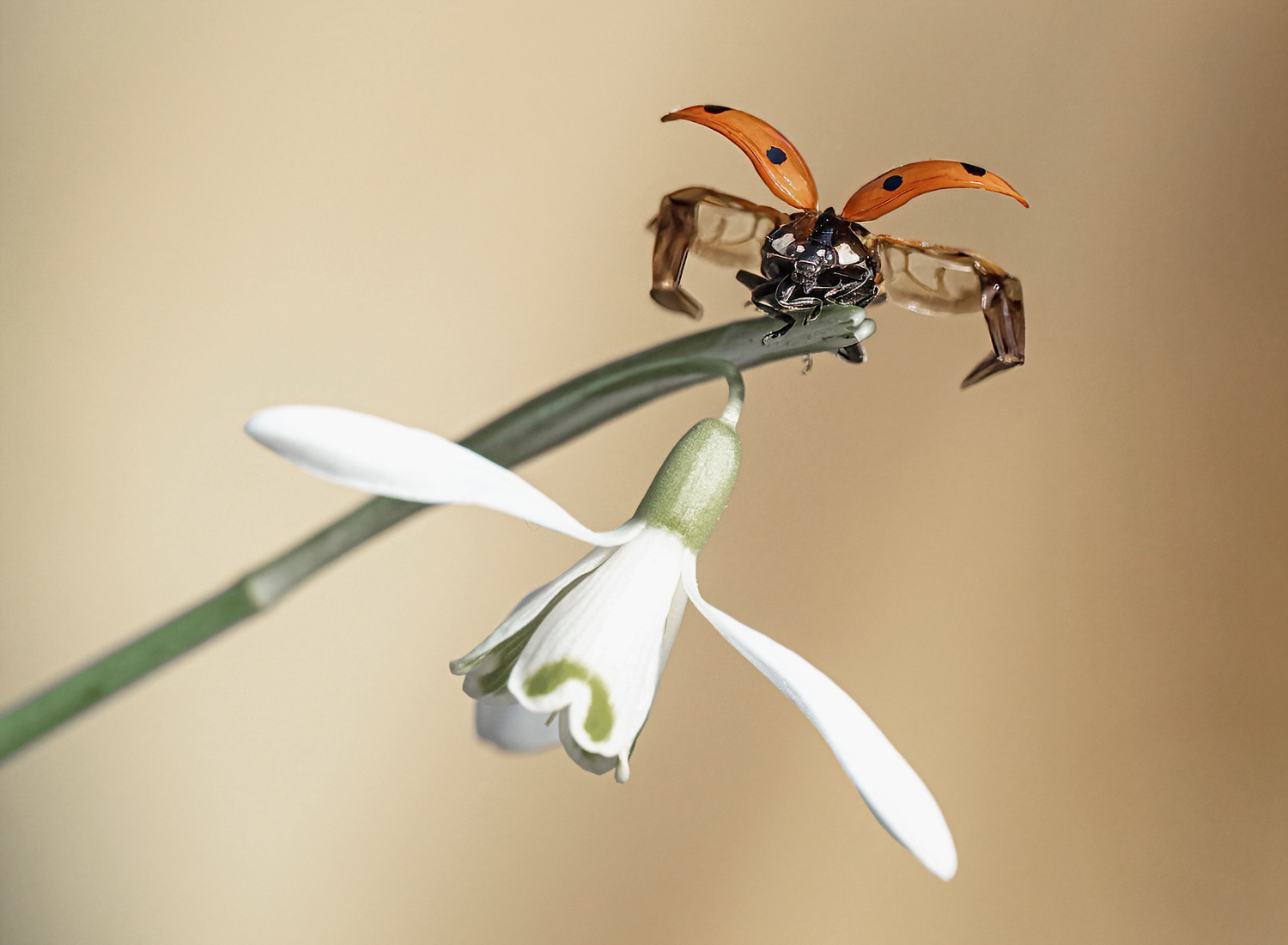 Start in den Frühling