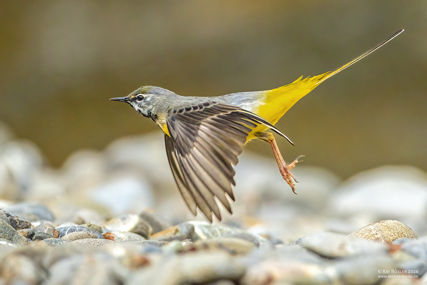 Abflug!