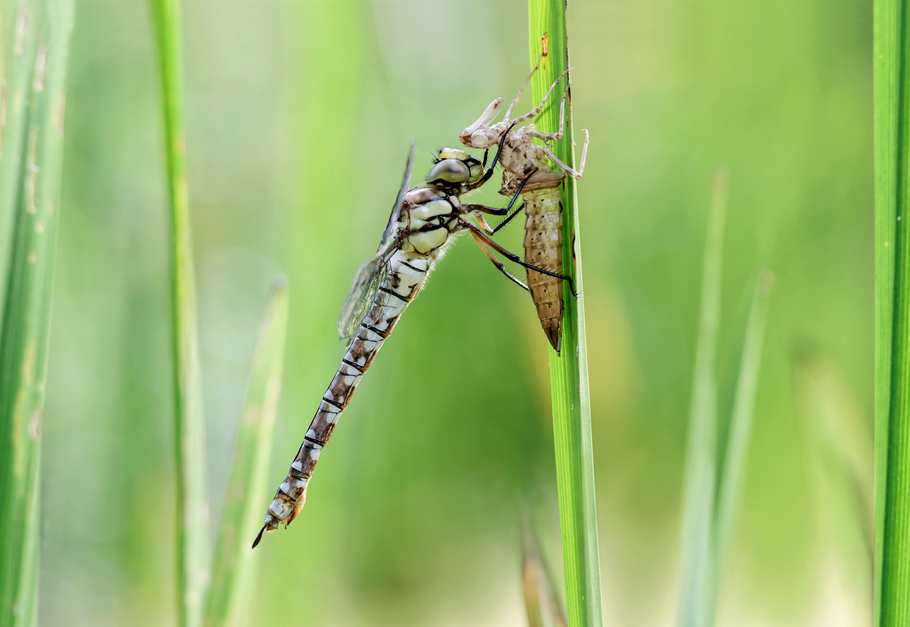Ein neuer Lebensabschnitt...