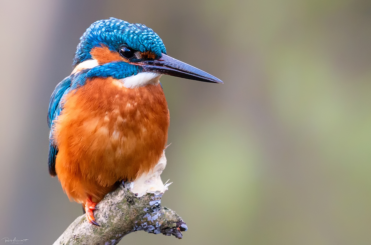 Es war schon später am Tag....