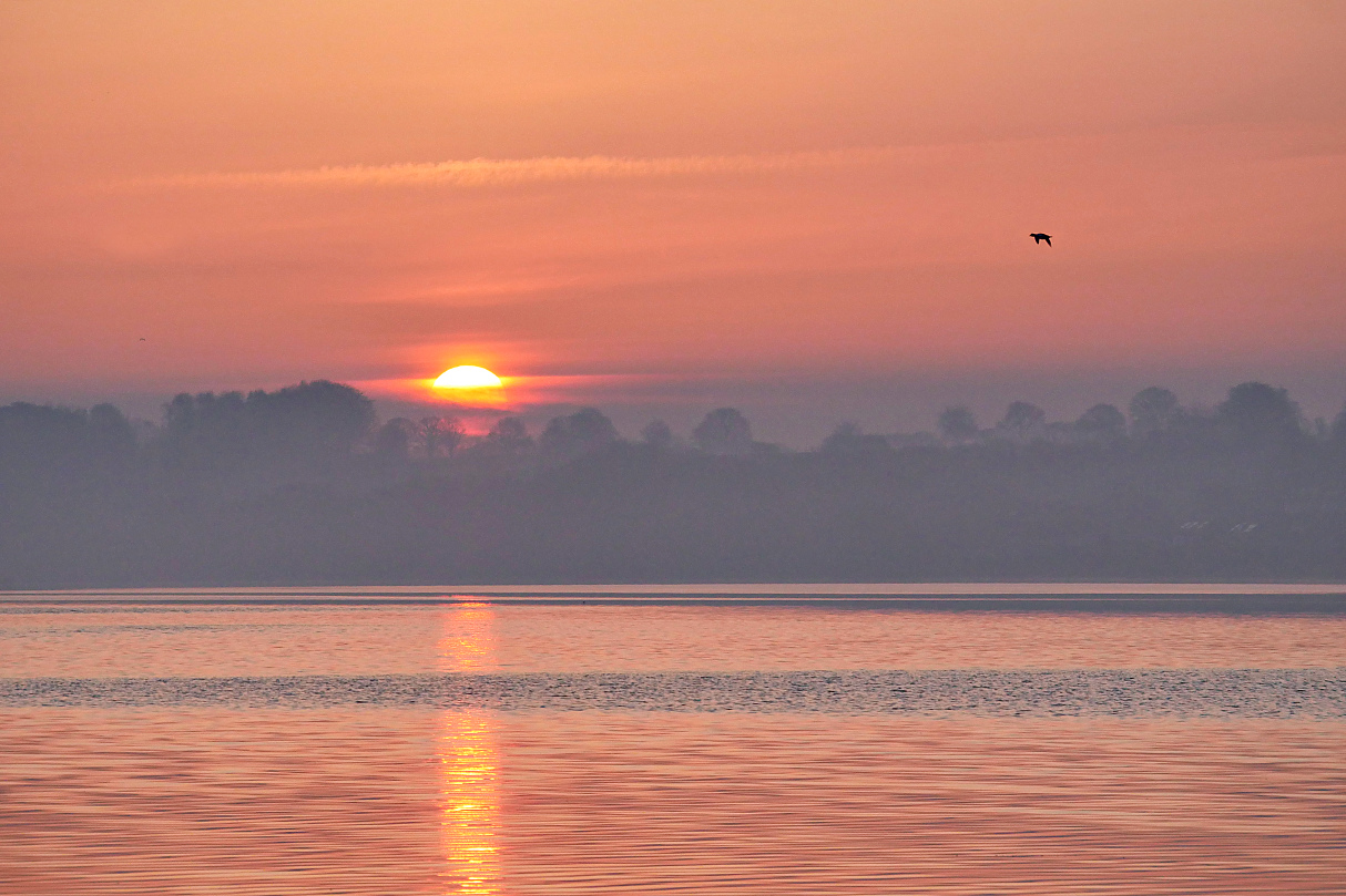 Saharastaubsonnenaufgang