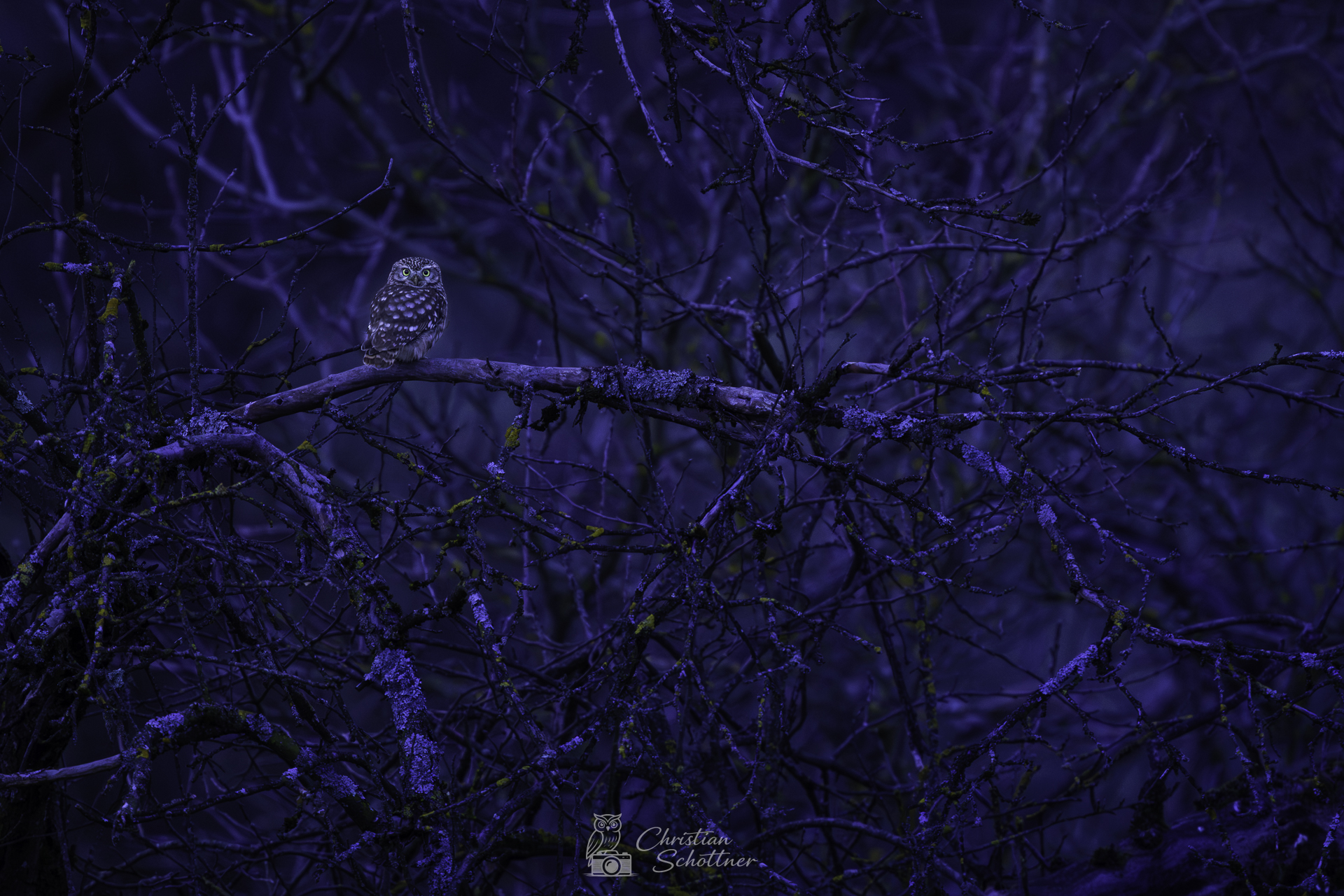 Blicke, die berühren und einen fesseln