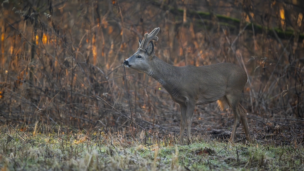 "...Zeitung lesen..."