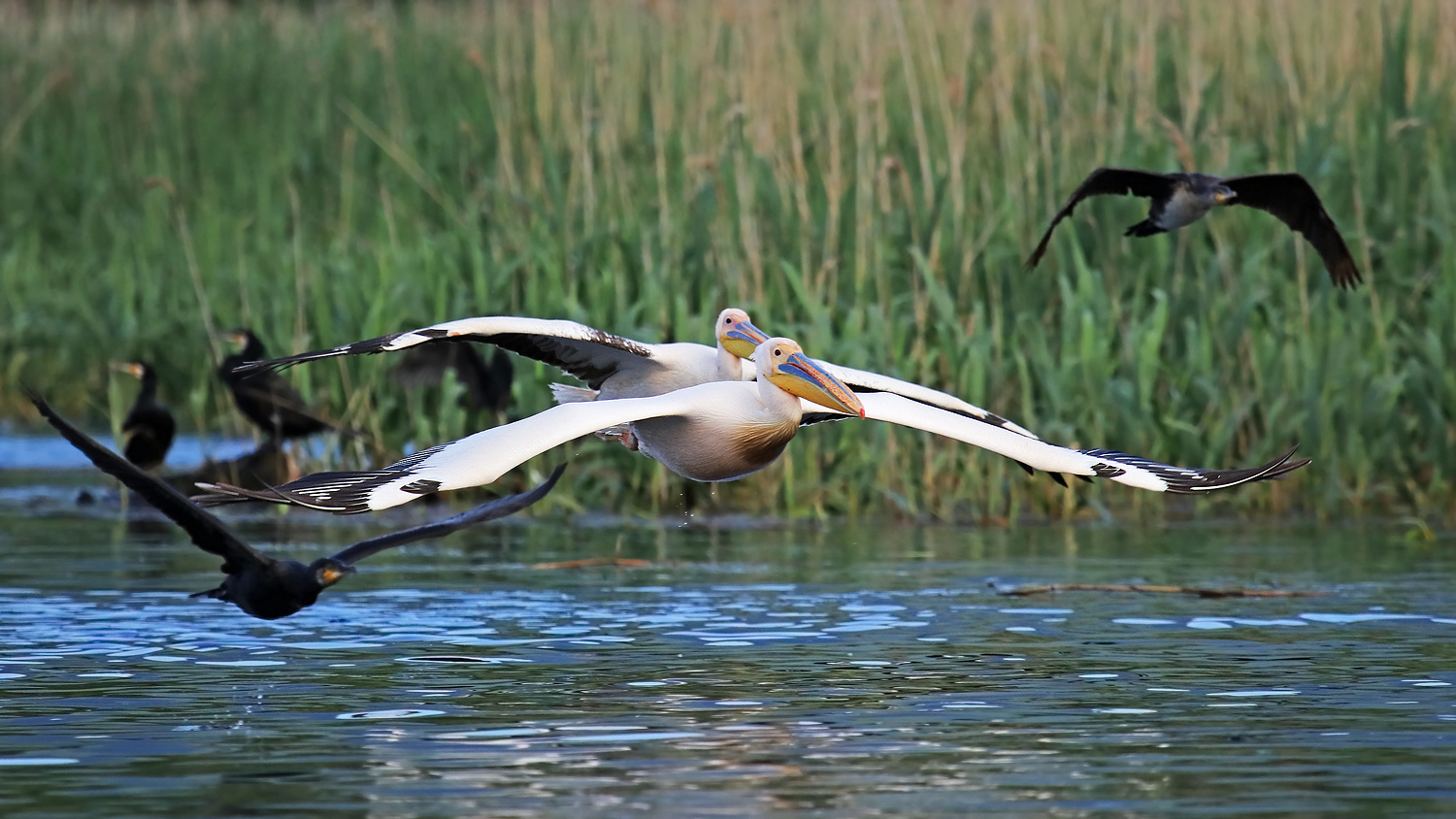 Alles fliegt