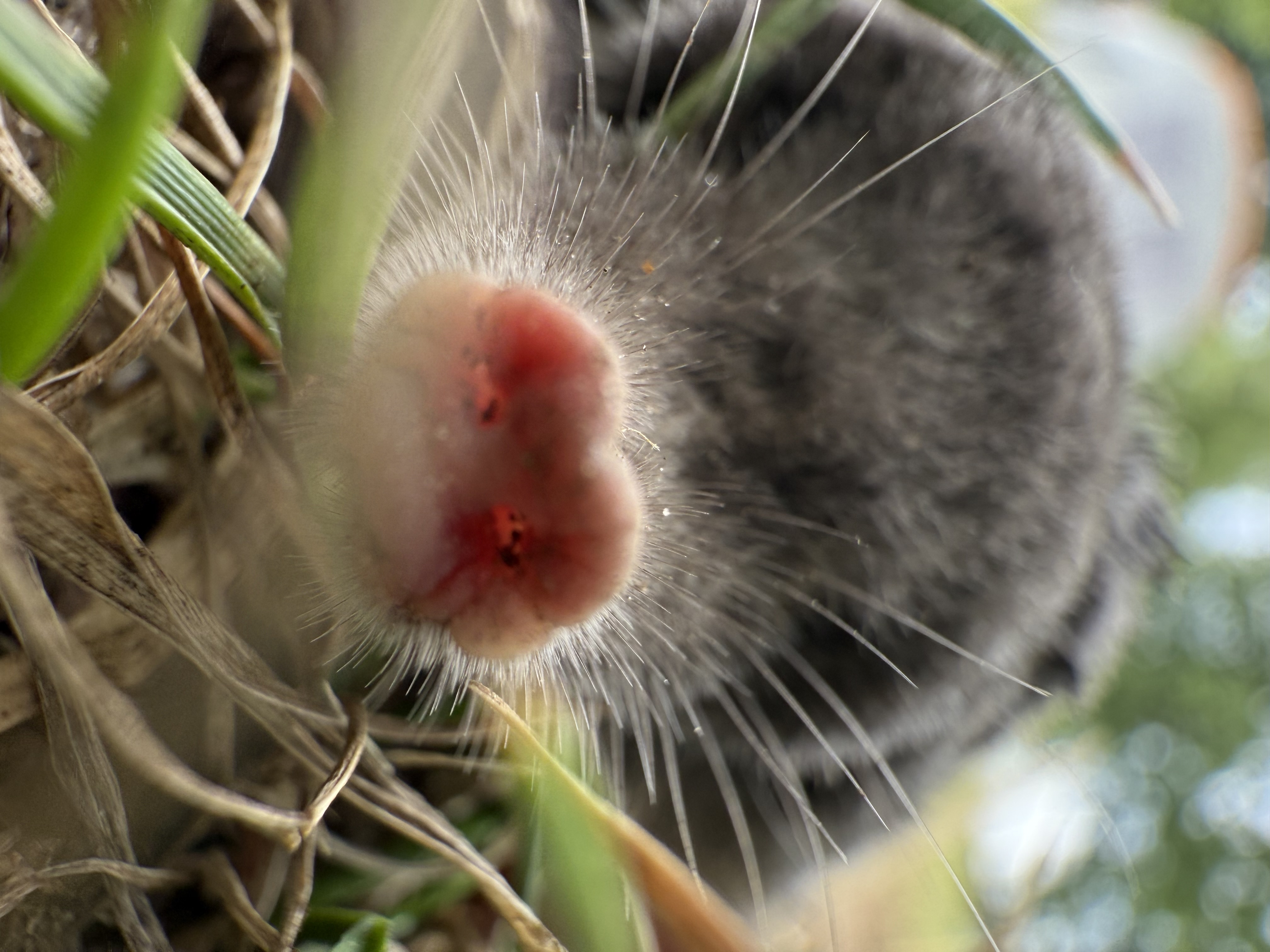 Eine überraschende Begegnung