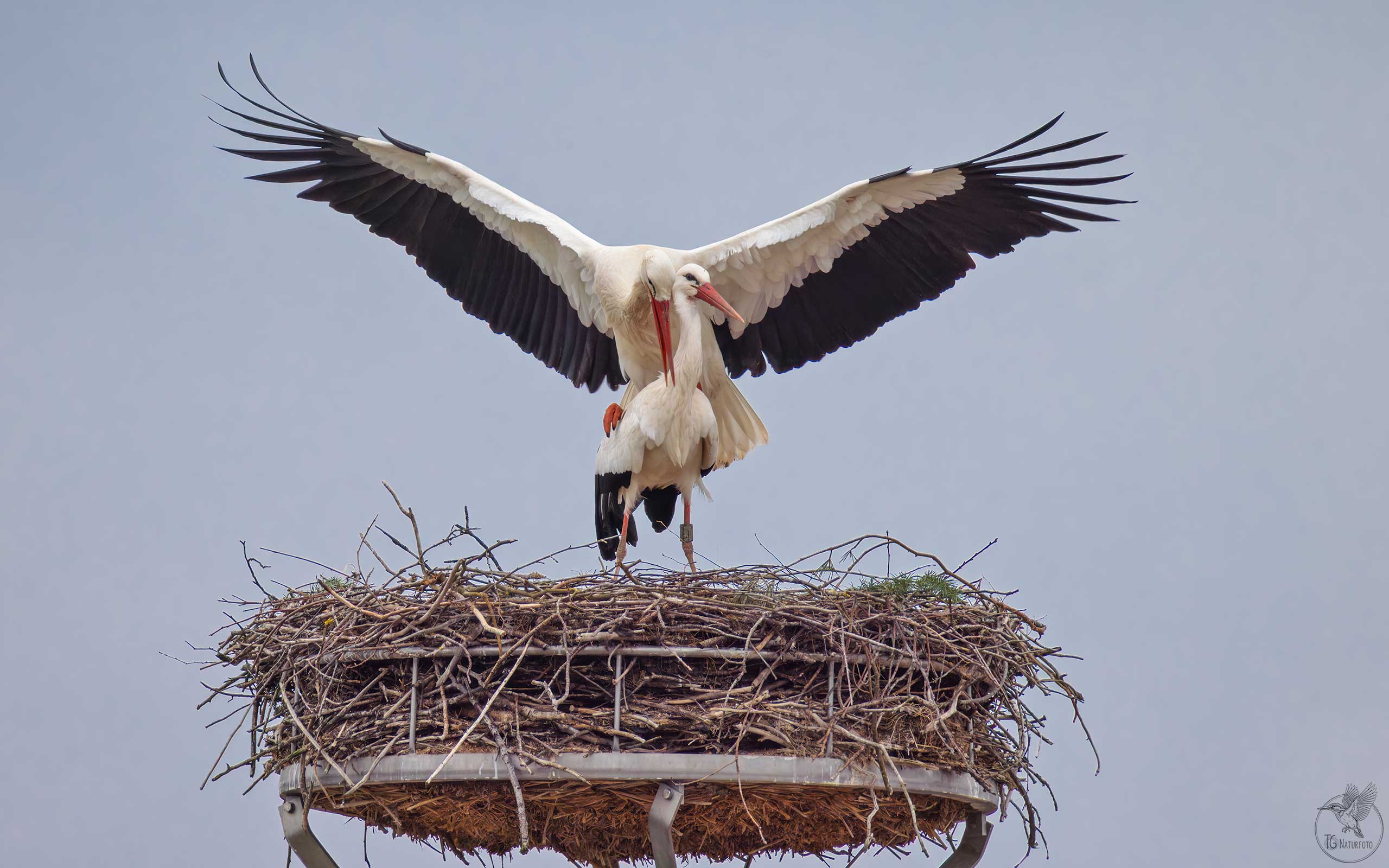 Zurück aus dem Winterquartier