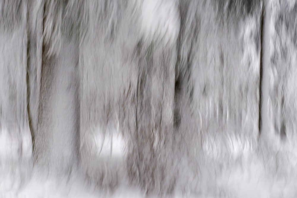 Und gestern war noch Winter....