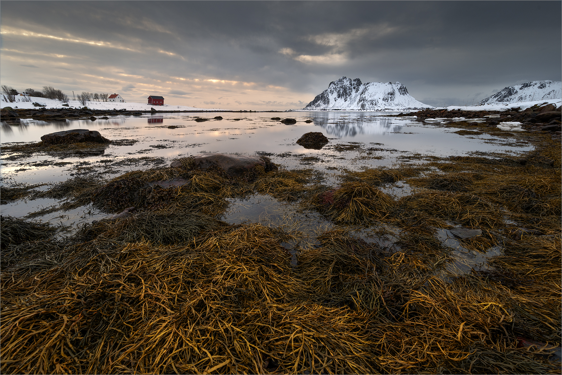 Zwischen Tang und Winterlicht