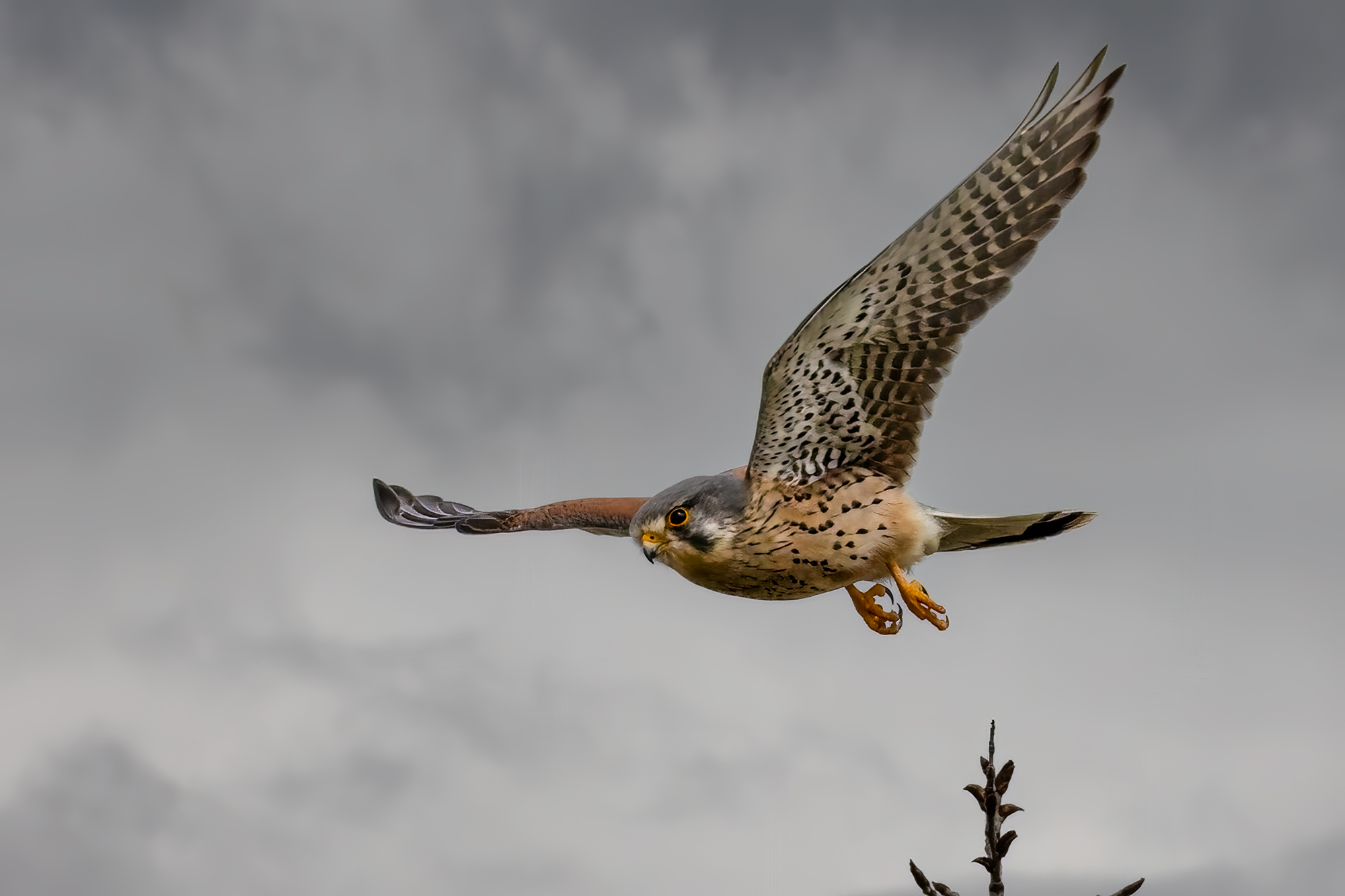 ... der Abflug ...