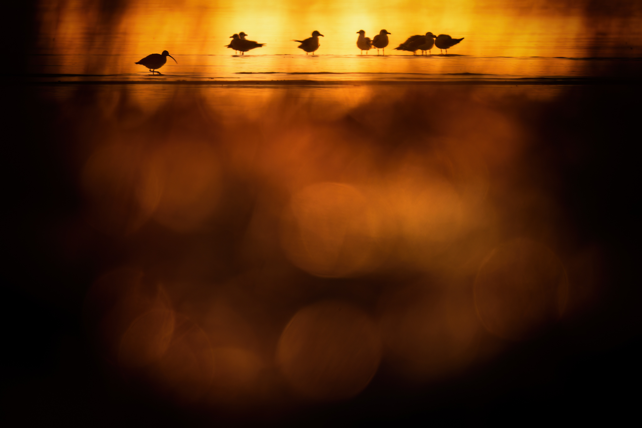 Goldener Morgen