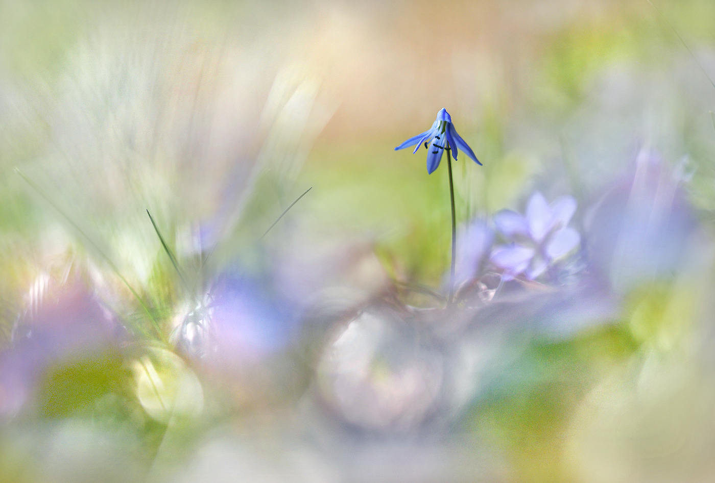 Klein aber fein ...,