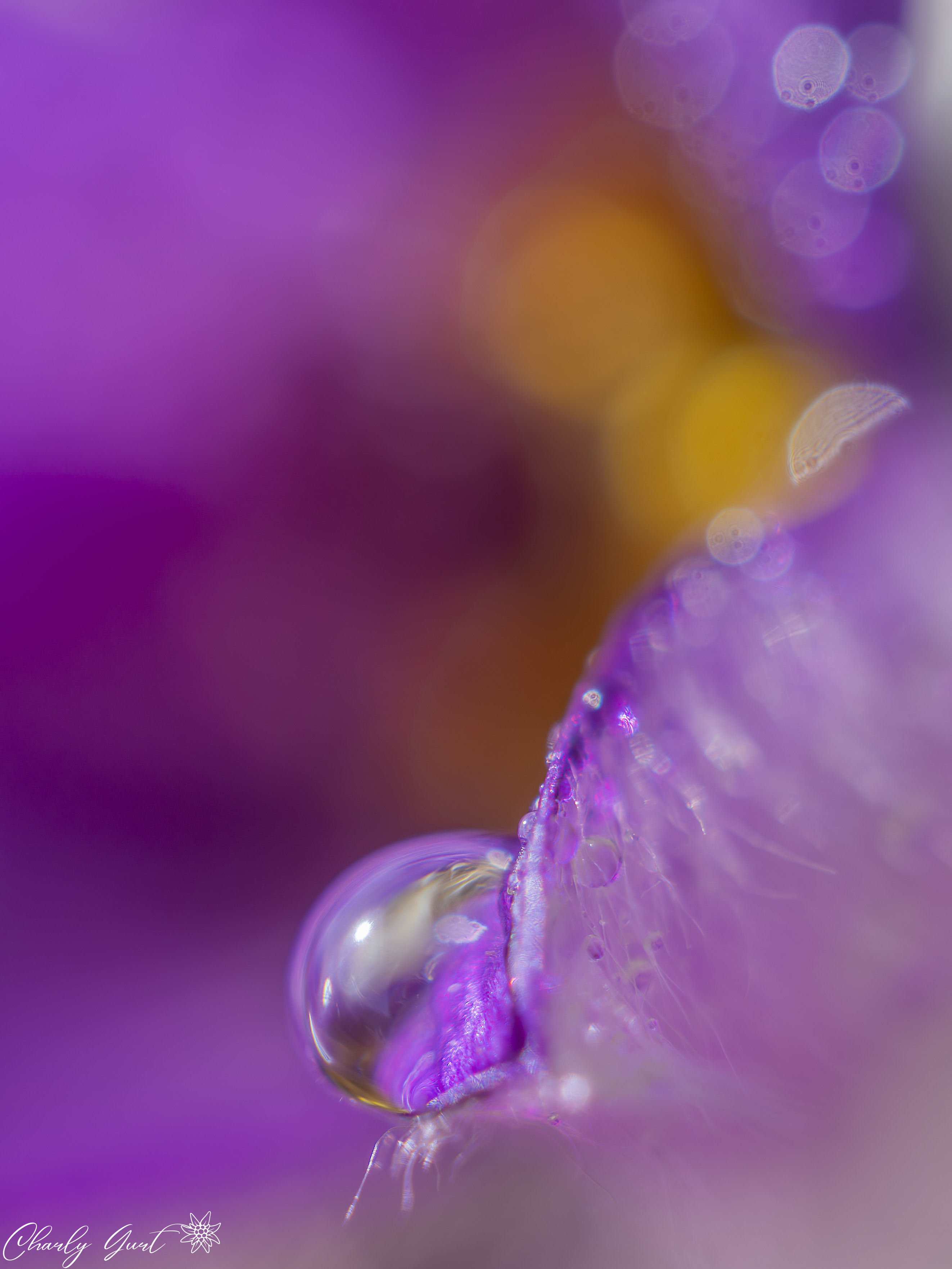 Glitzerwelt