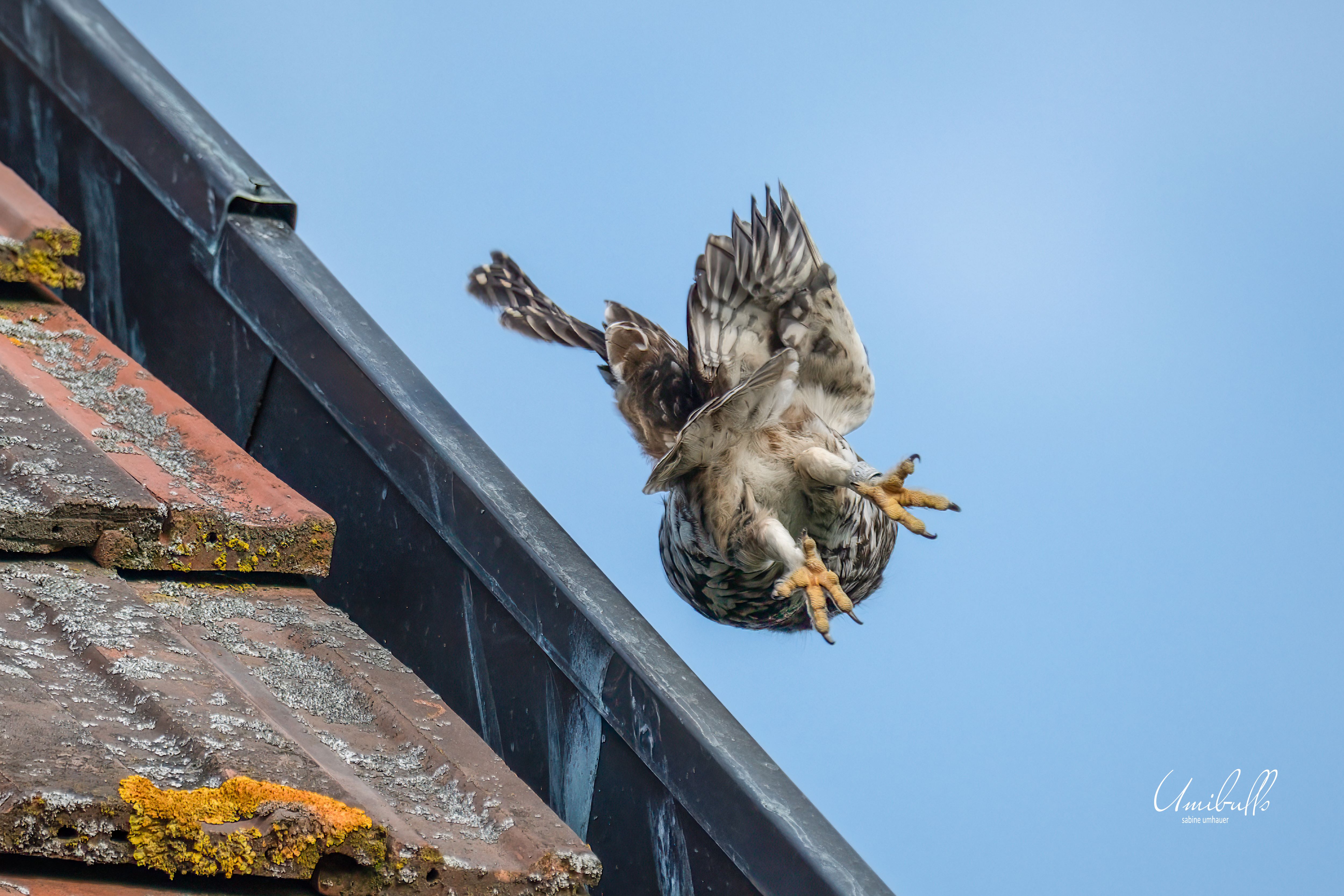 na dann tschüss ....