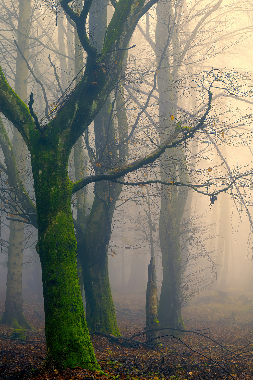 " ... einfach mal die Seele baumeln lassen ..."
