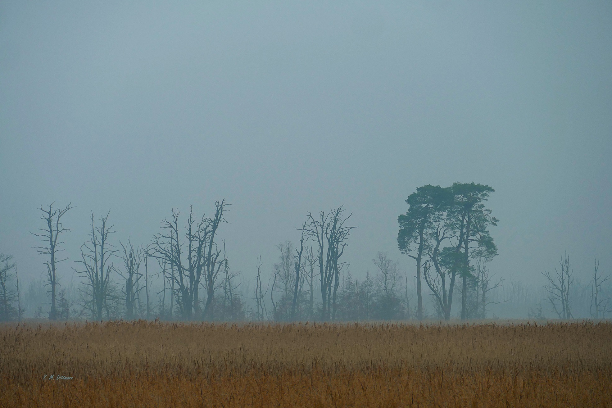 Stille