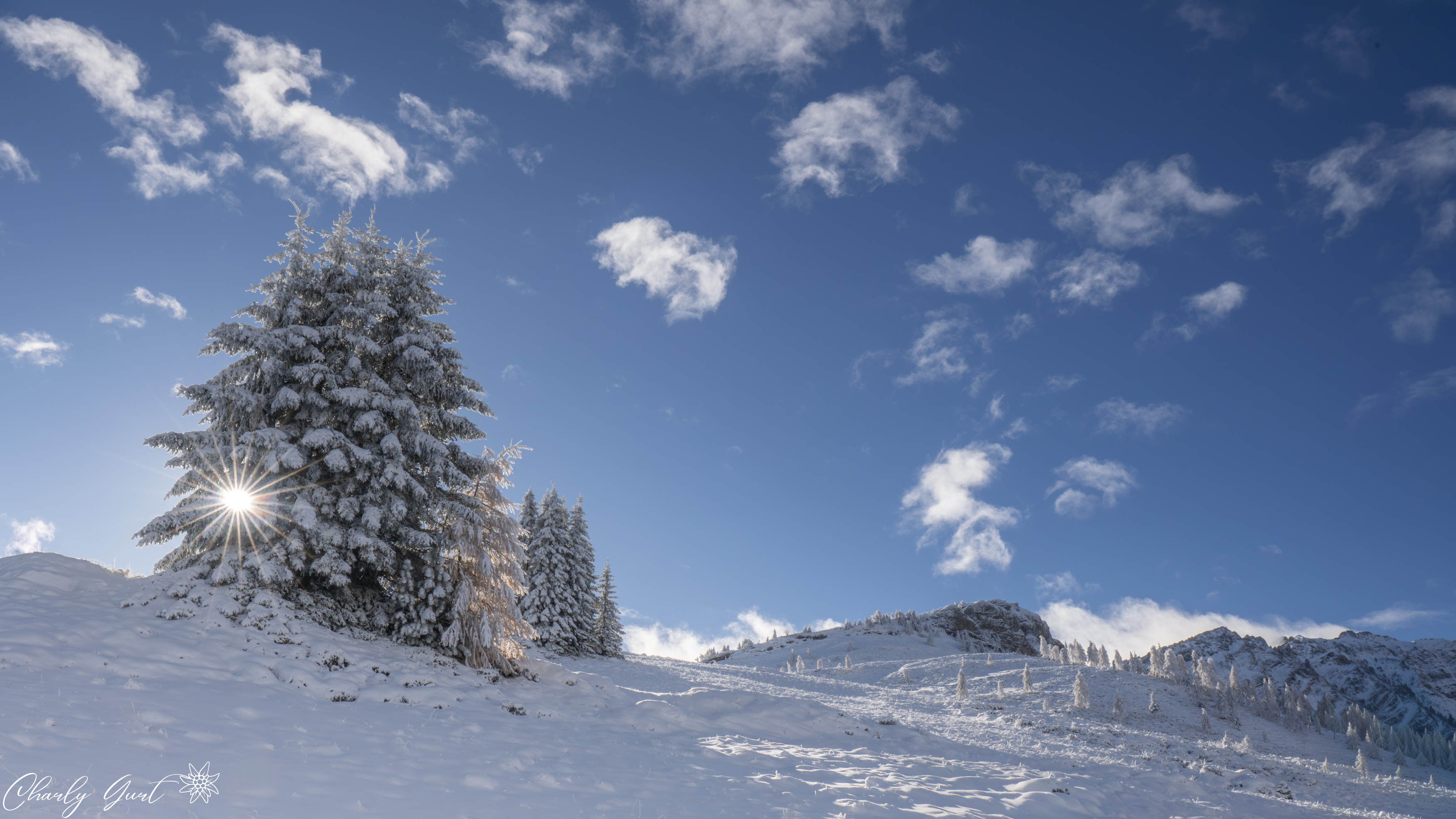 Bei uns ist der Winter zurück