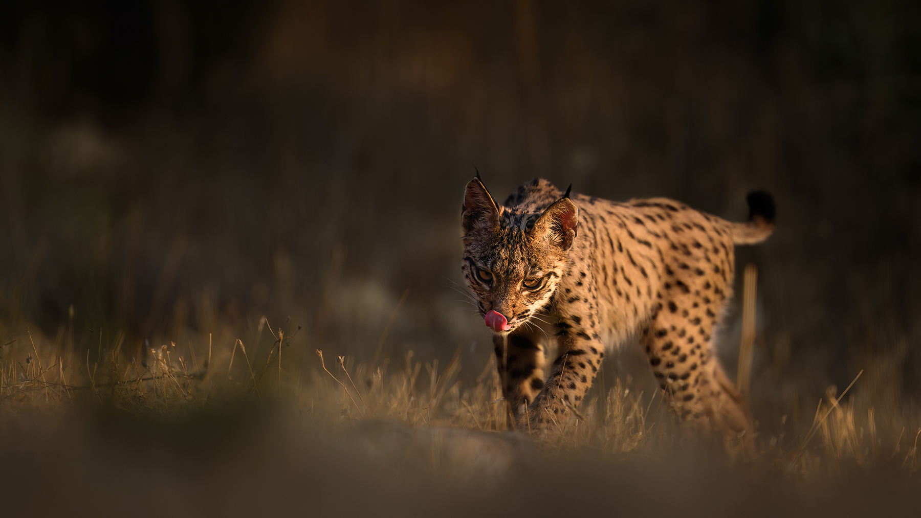 schon satt die Kleine