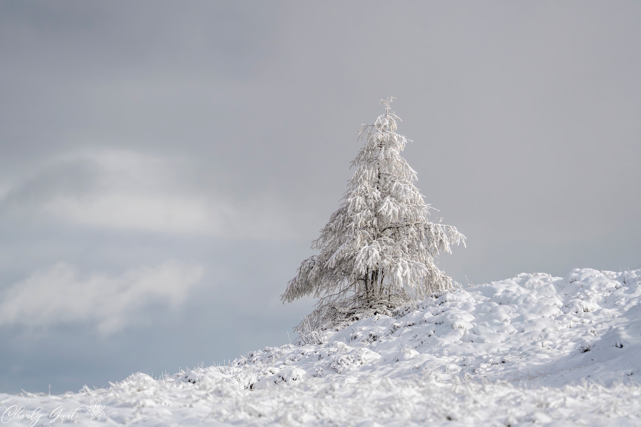 Ein Hauch von Schnee