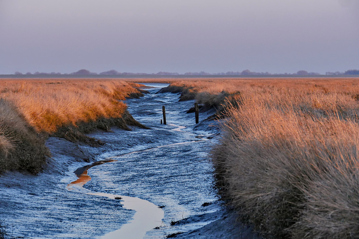 leerer Priel im Abendlicht