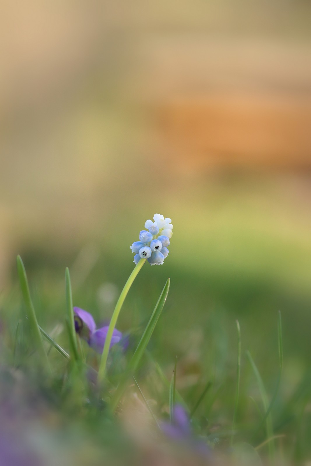 Ein kleine