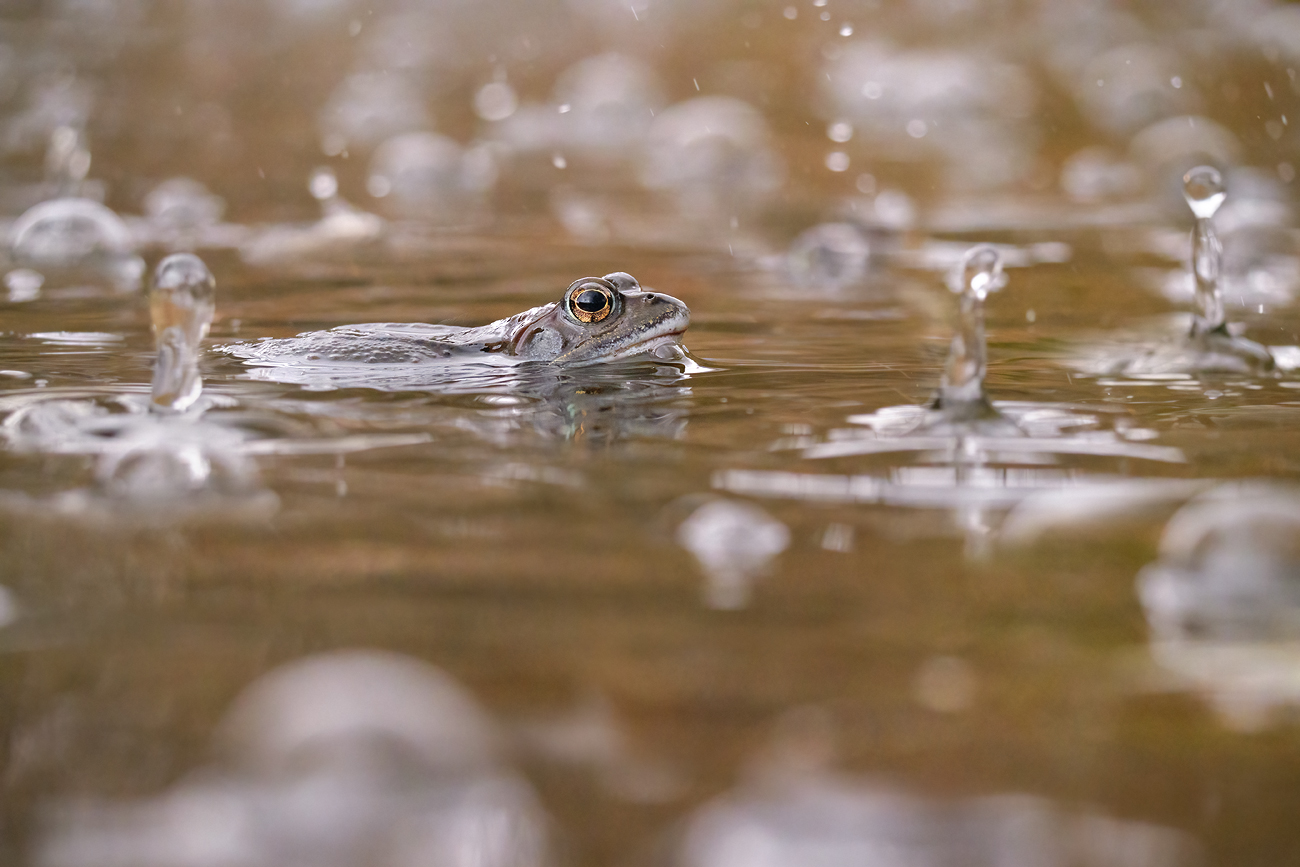 Nass von unten und oben