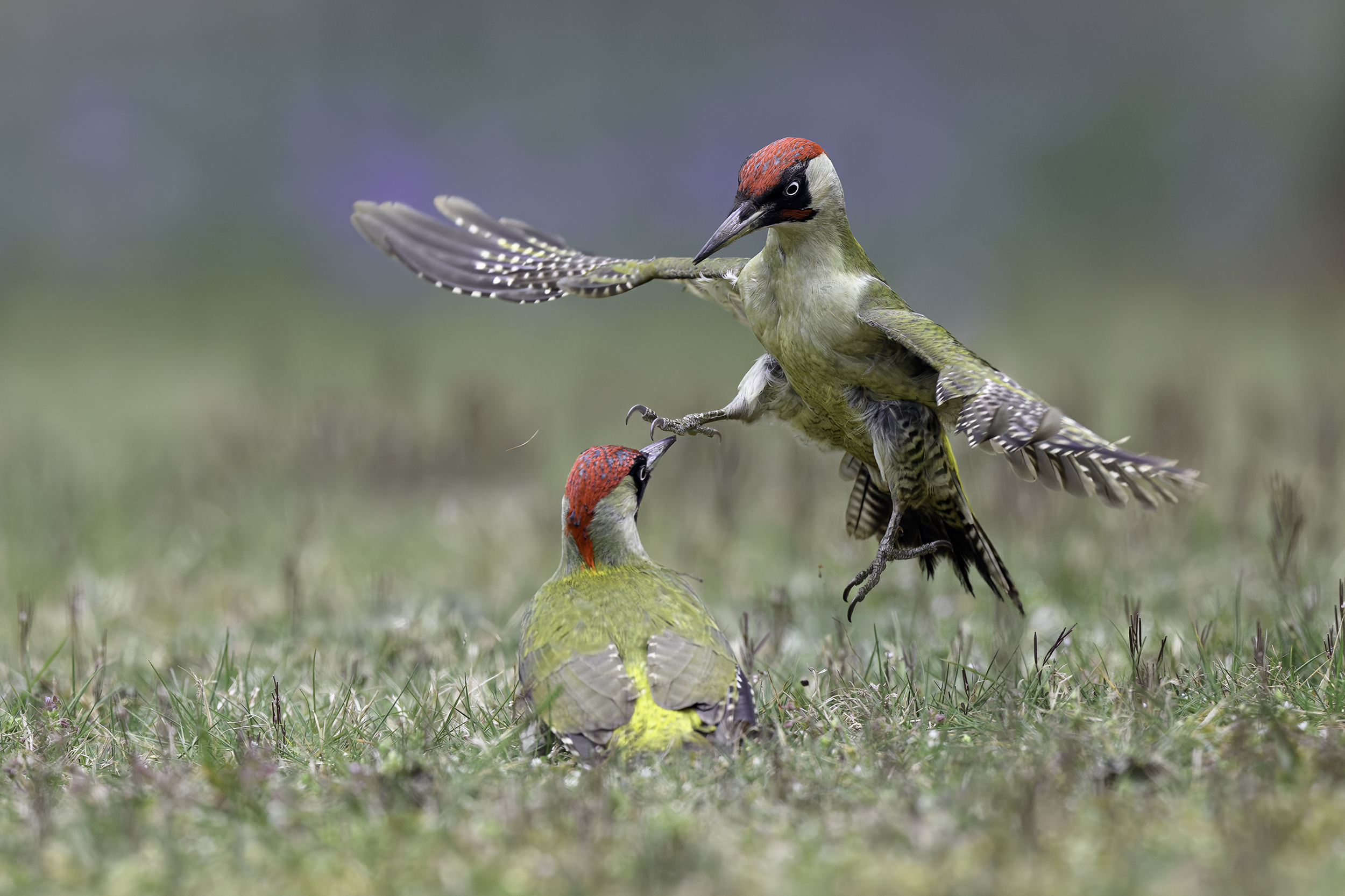 Der fehlinterpretierte Flirt