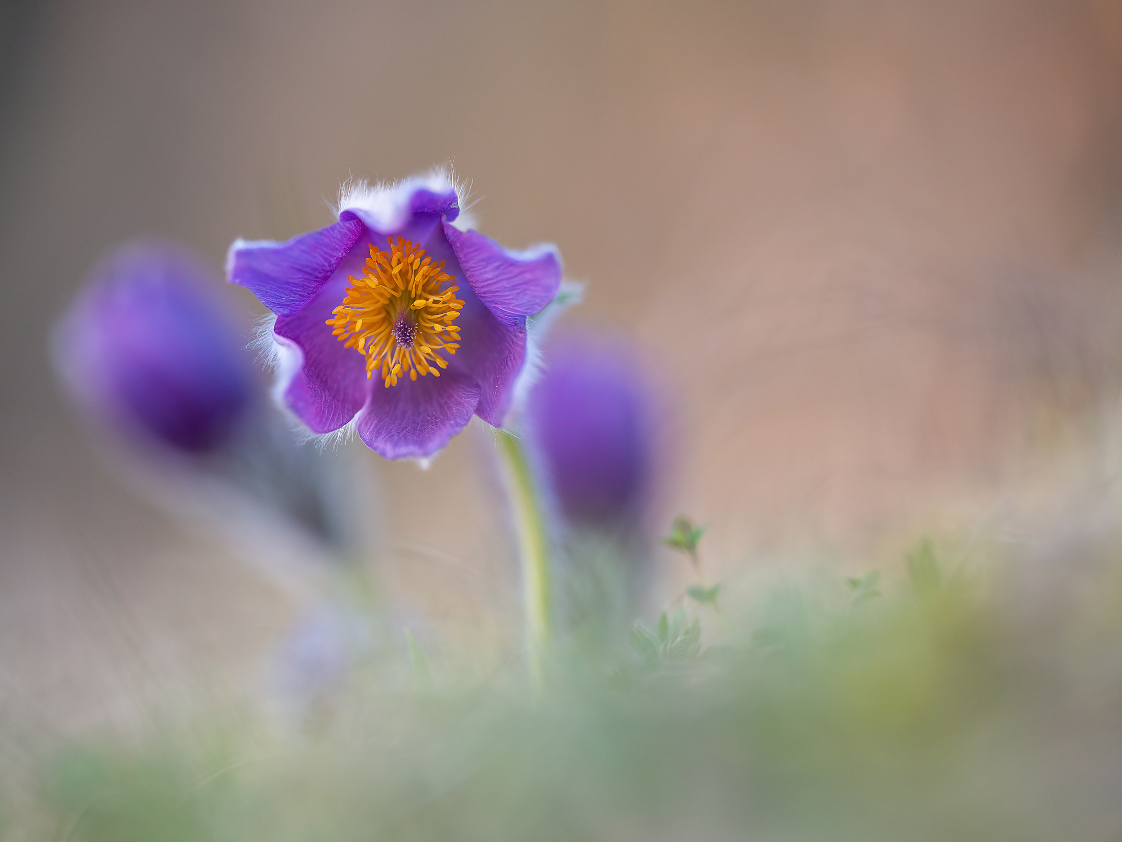 ... im weichen Licht