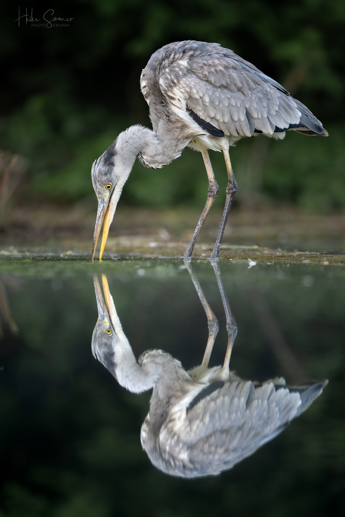 Ui, wer bist denn Du?!