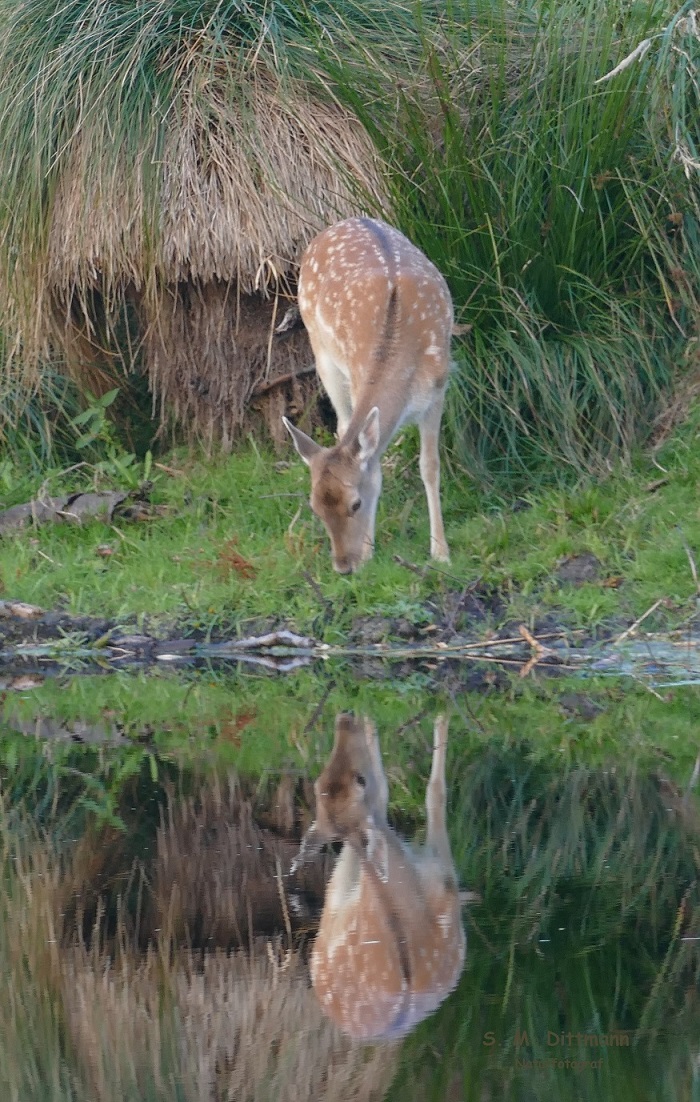 Mist, man ist einfach nie allein!