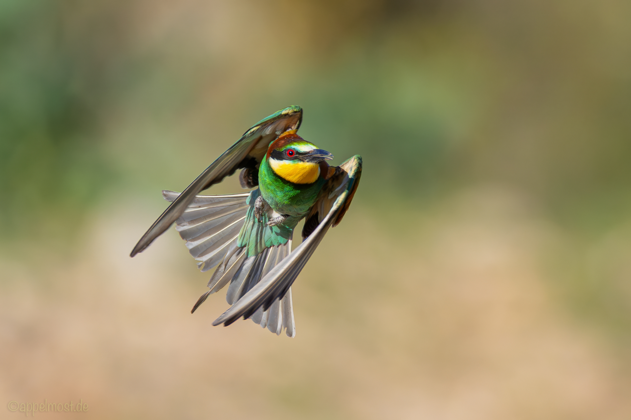 Im "Anflug"...