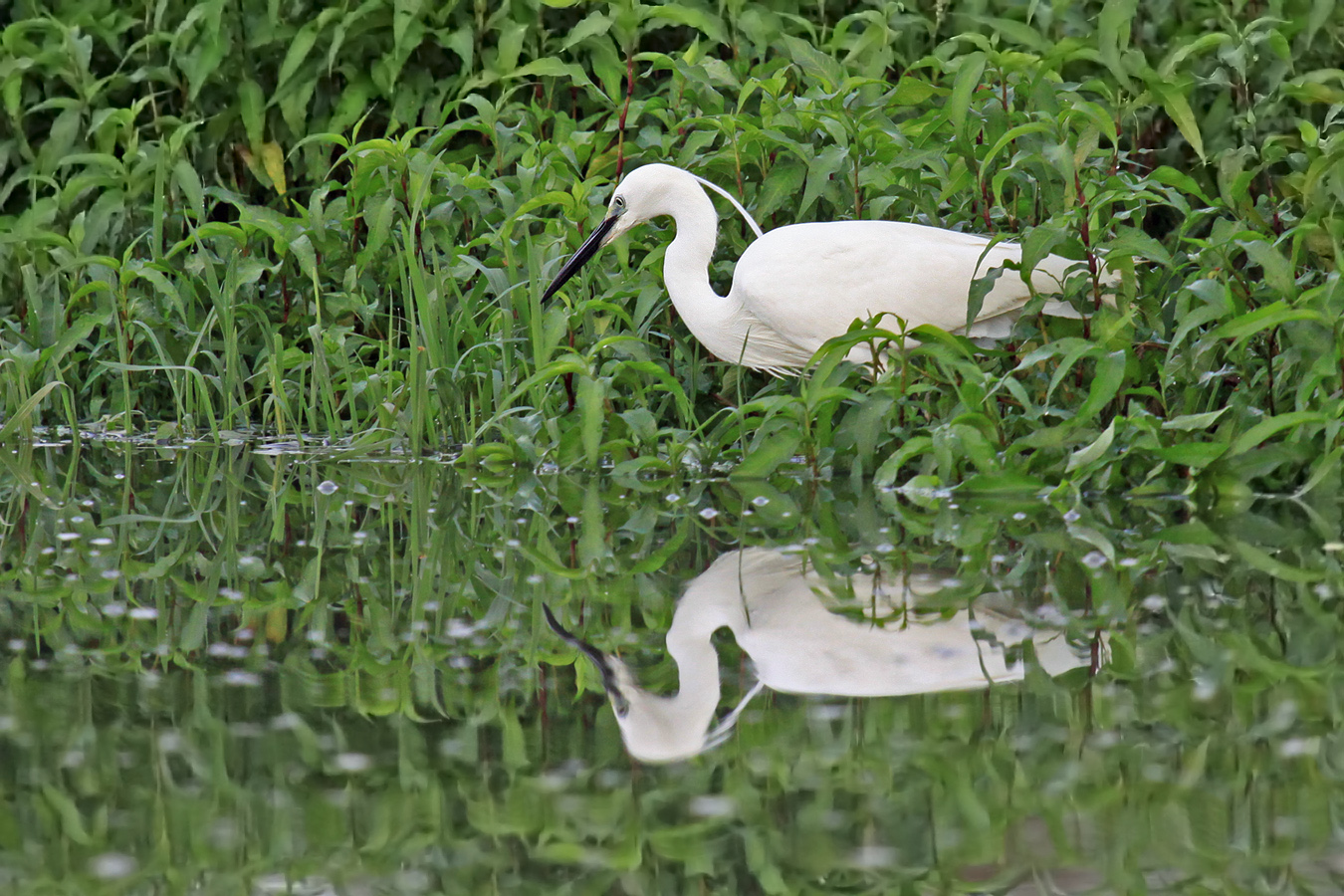 Das Gewässer bestens im Blick...