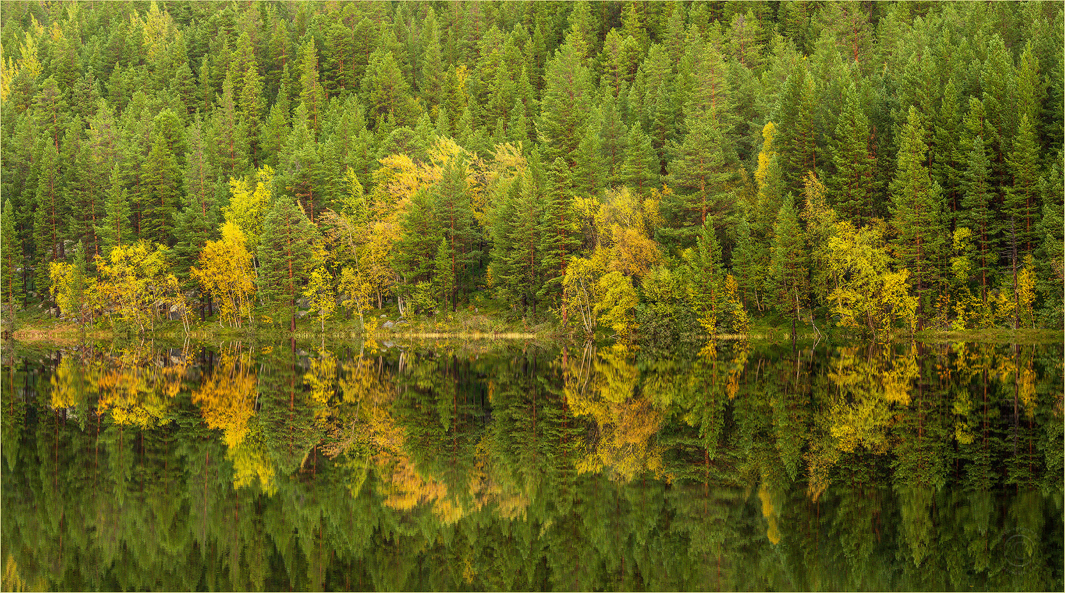 Rorschach-Test