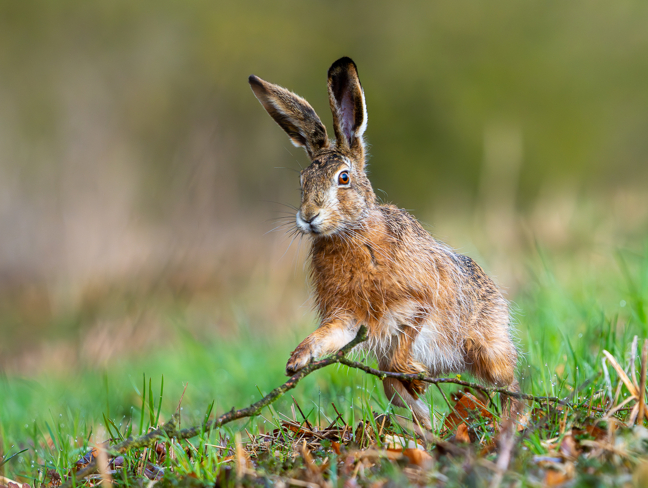 Kurz vor Ostern