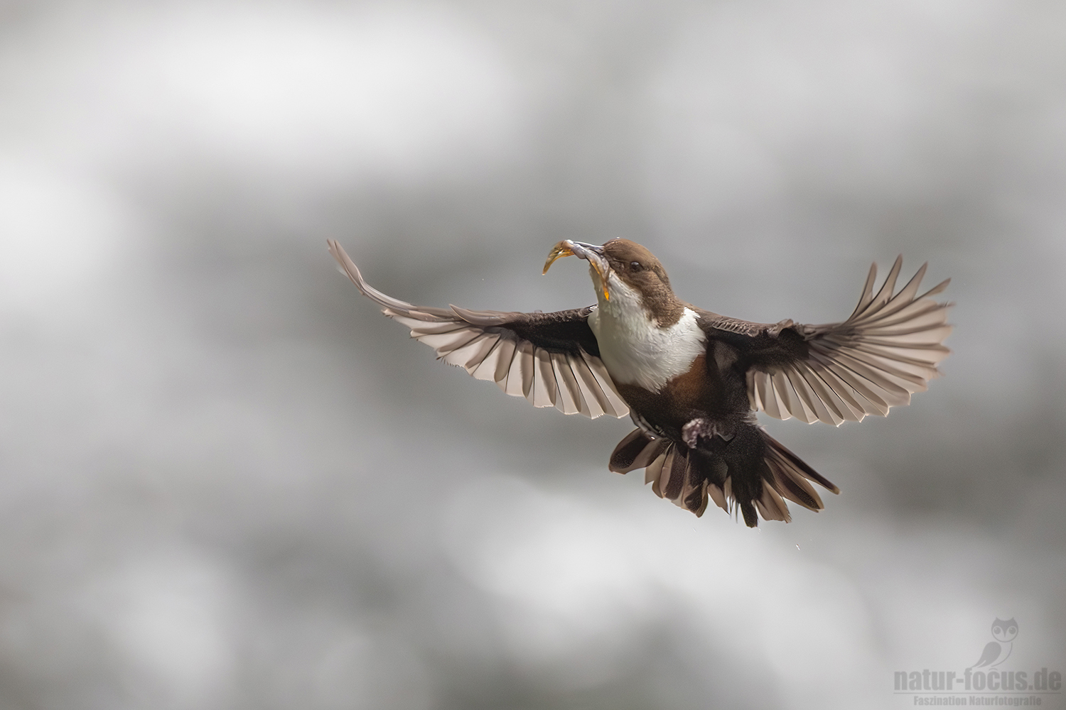 Versorgungsflug