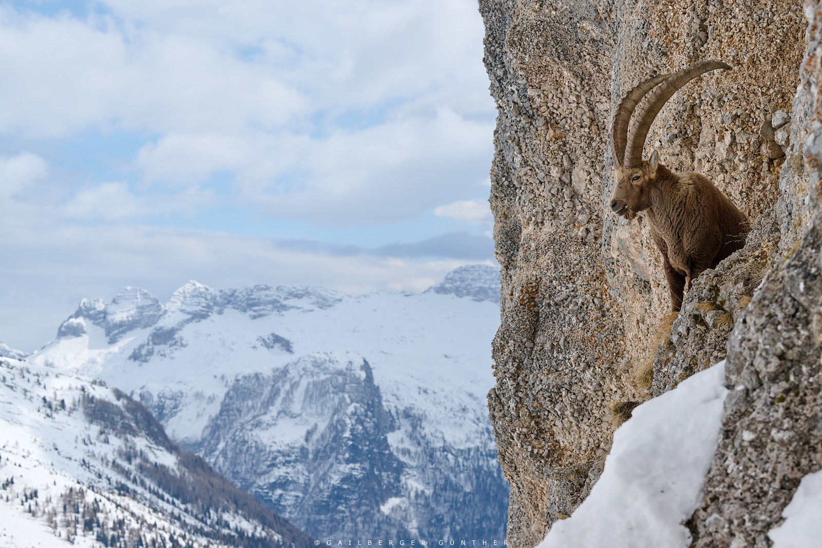 "Wohnzimmer" mit Panoramablick