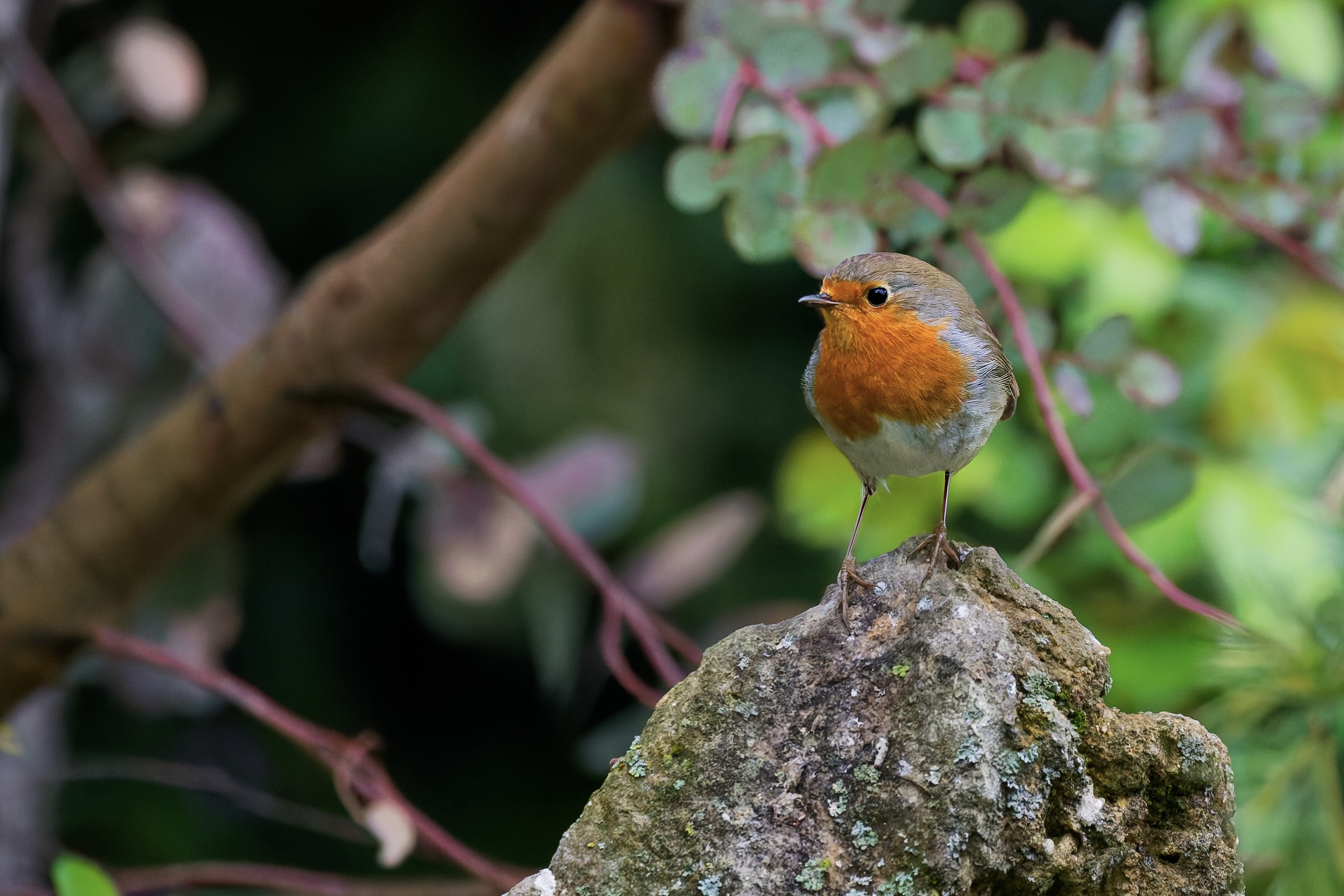 Überblick ist alles !