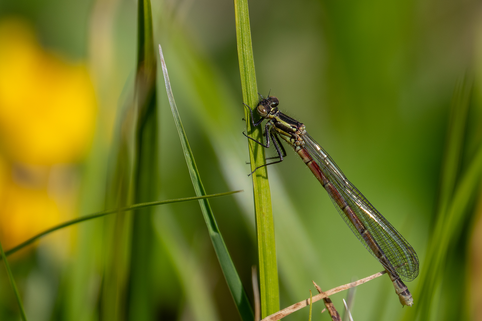 Nun geht es endlich los!