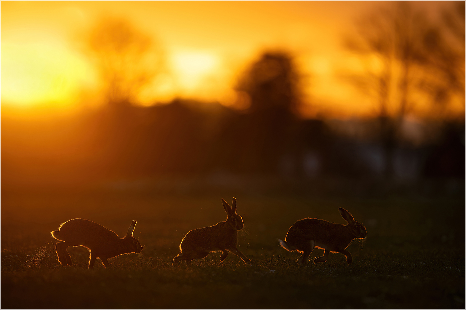 Sonnenaufgang