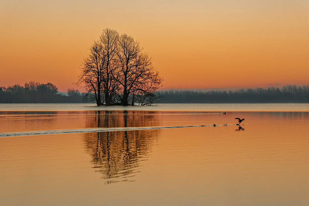 Lieblingsort mit doppelter Spiegelung