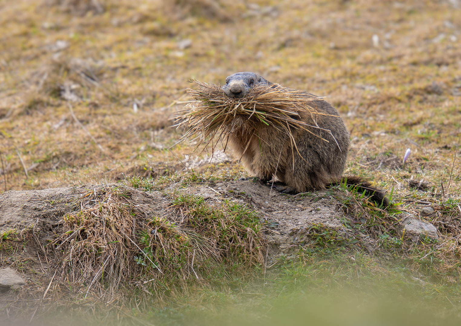 Wie man sich bettet, so liegt man