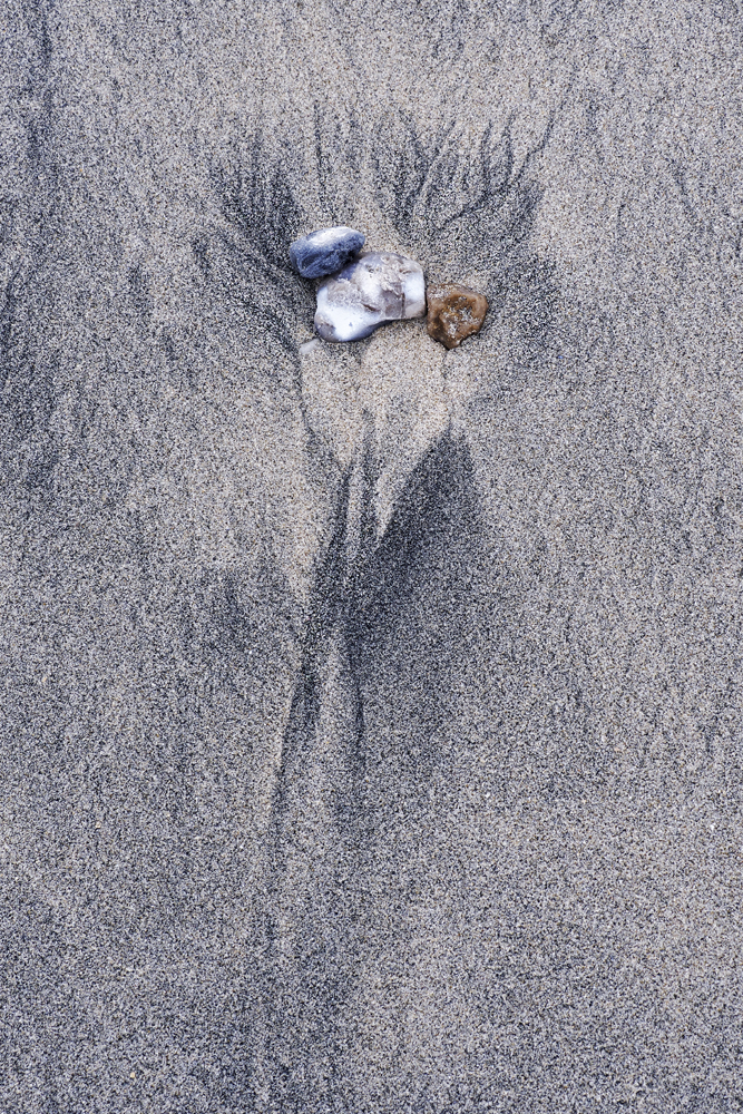 Einstein, oder Loriot ohne Nase.....