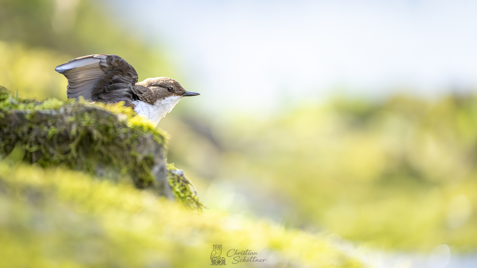 Erst einmal die Flügel recken