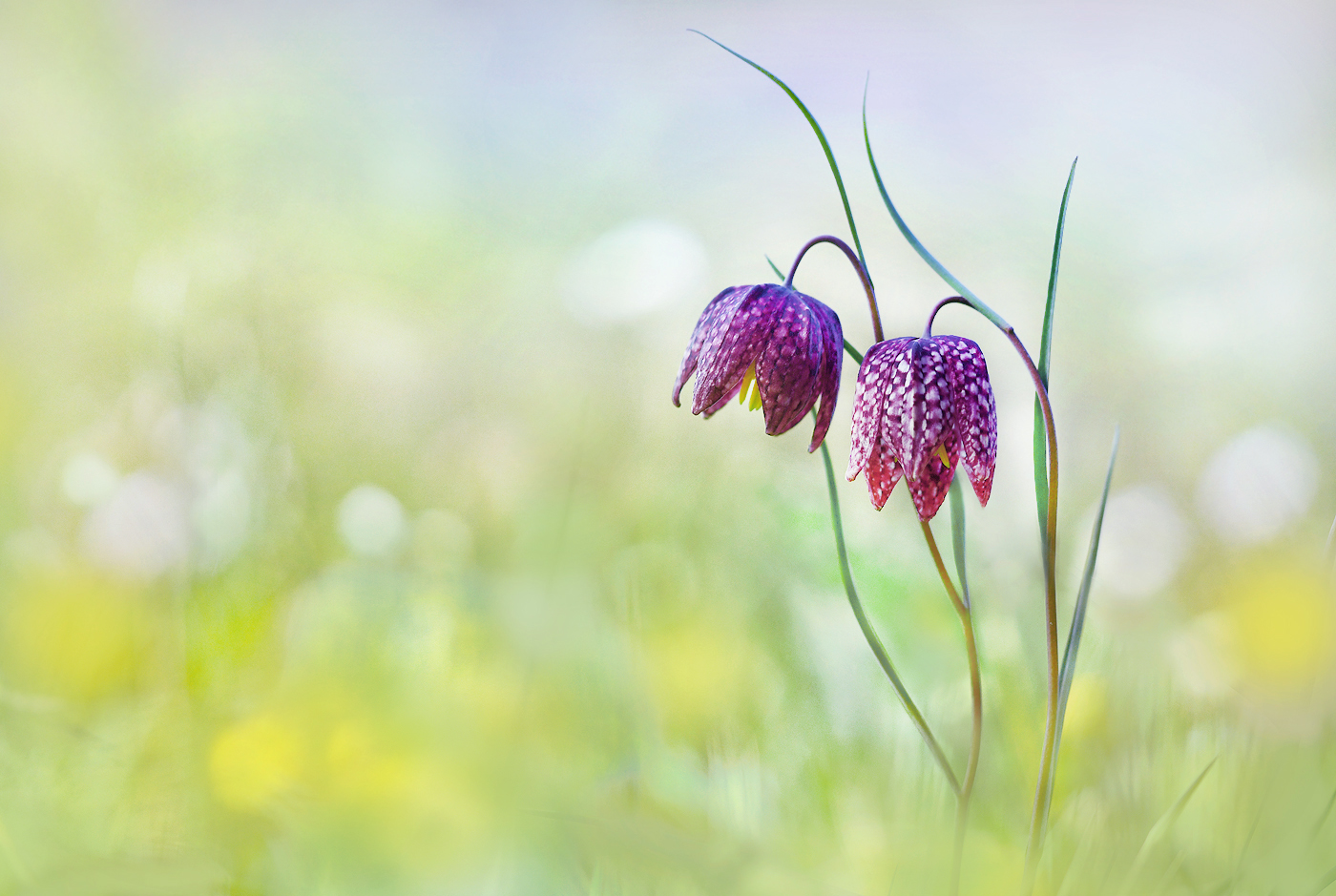 Familienausflug ...,