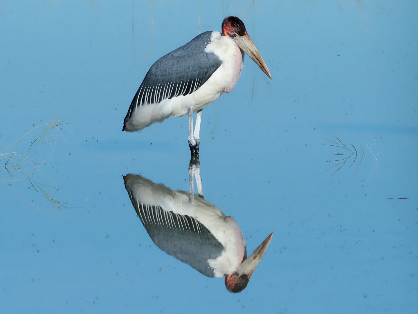 Ich bin doch schön oder?
